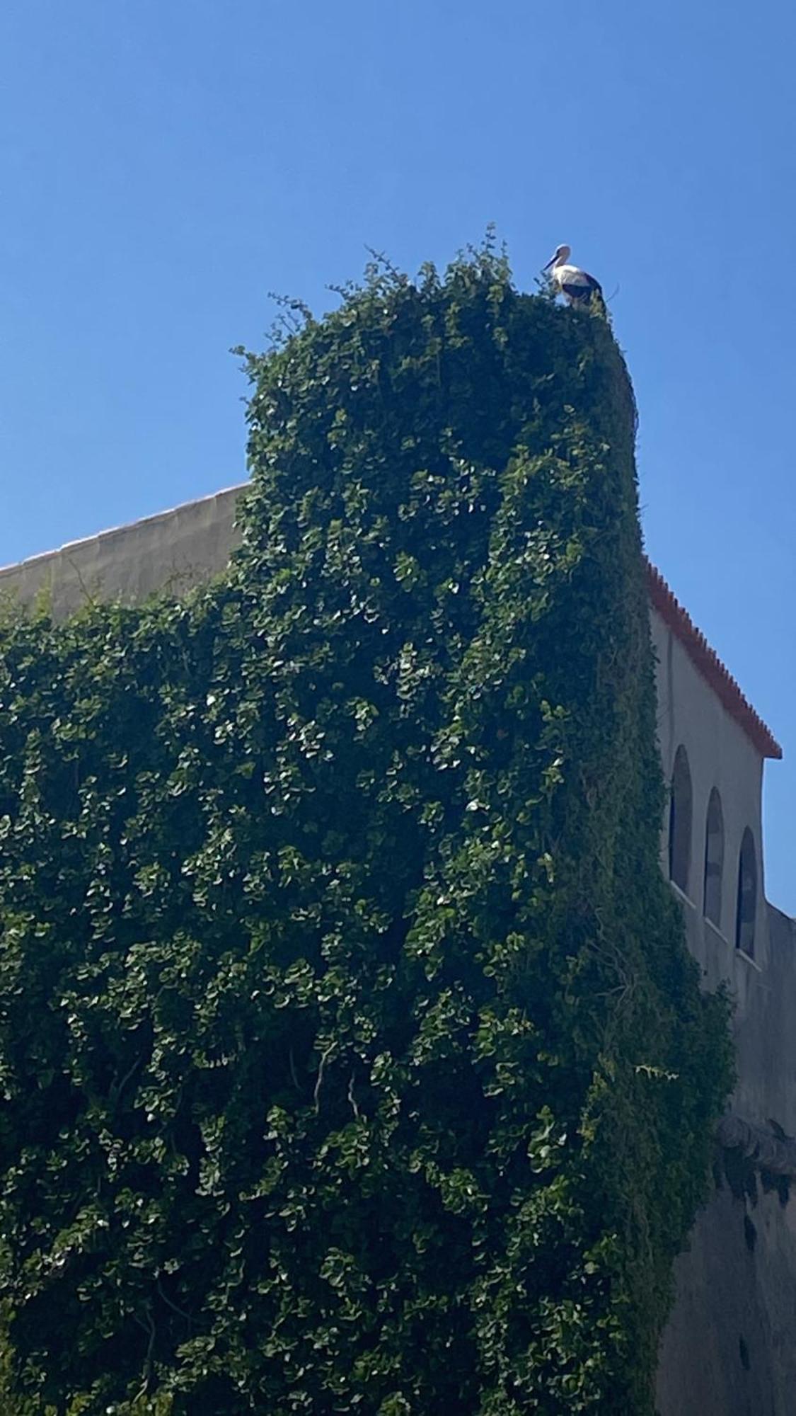 וילה נובה דה מילפונטס Casa Das Marias מראה חיצוני תמונה